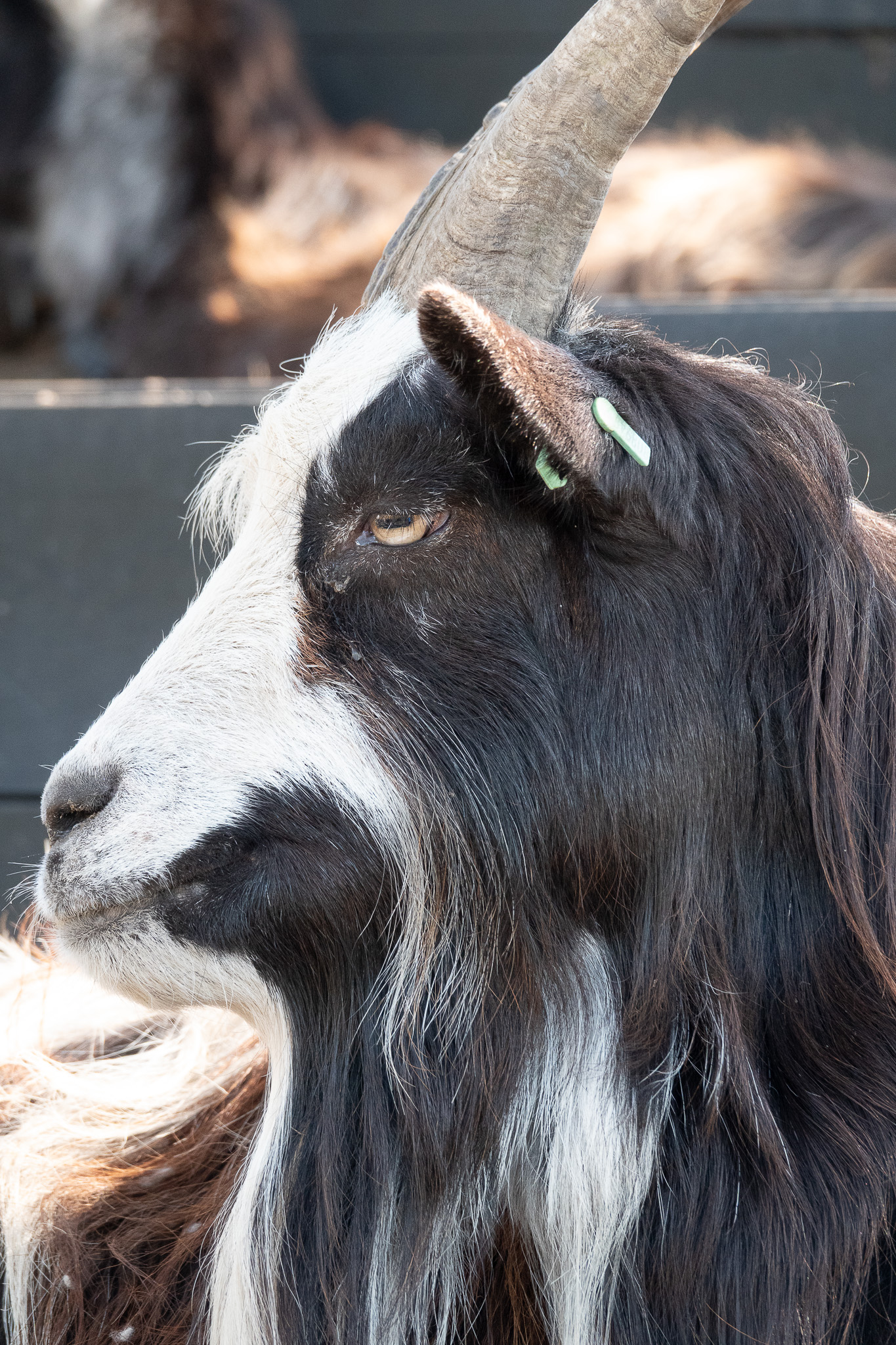 20260321   Fototrip Maart   Naarden vesting   047